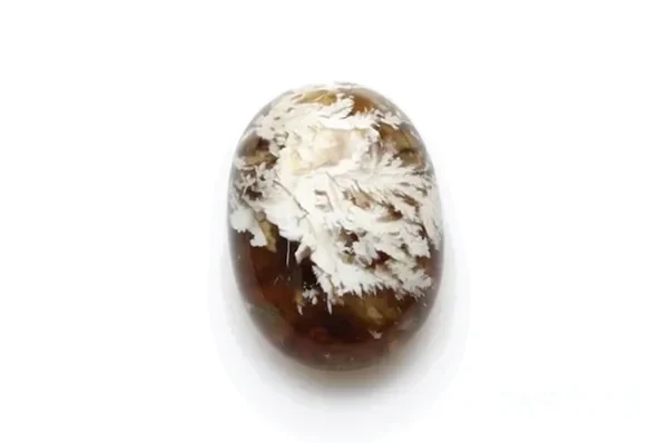Judging Moss Agate: Pattern, Clarity and Cut