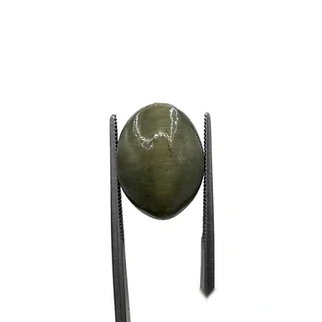 Natural Cat Eye Lehsunia 11.60 carat