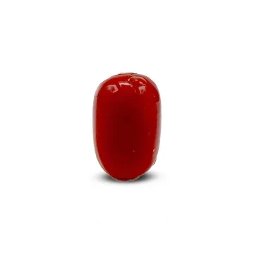 Natural Red Coral Marjan 12.35 carat
