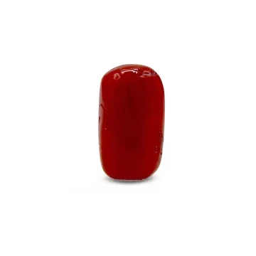 Natural Red Coral Marjan 16.95 carat