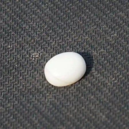 Original White Marjan