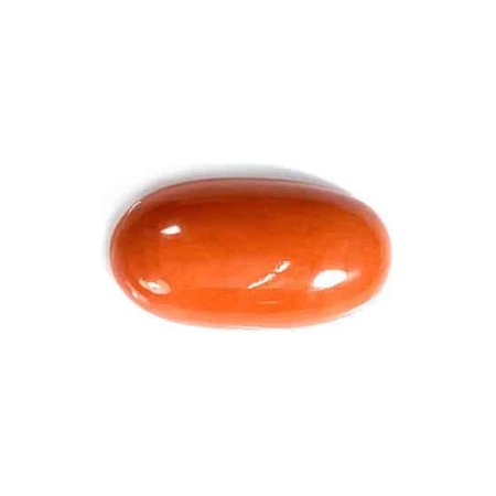 Coral No. 8