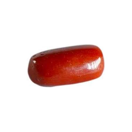 Coral No. 17
