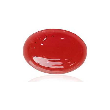Red Coral No. 16