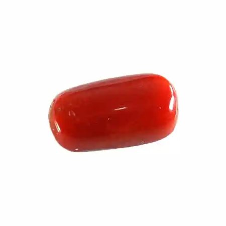 Original Red Marjan