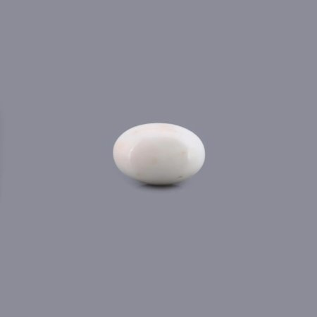 White Coral No. 1