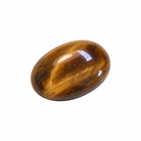 Tiger Eye No. 5